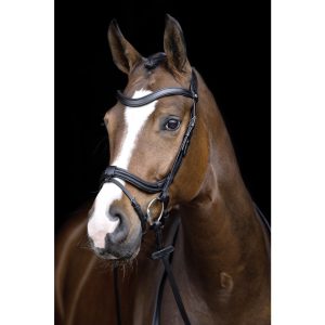 Bridle with Rubber Reins - Anatomic II