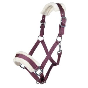Bischofschofen Halter