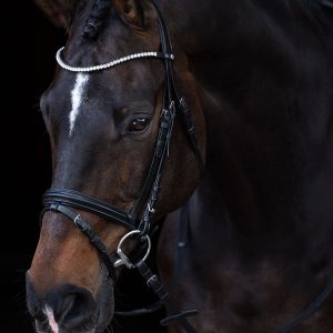 Mia Padded Bridle with RhineStones Browband - Cob