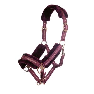 Premium Headcollar with Lead Rope in Rose Gold Buckles