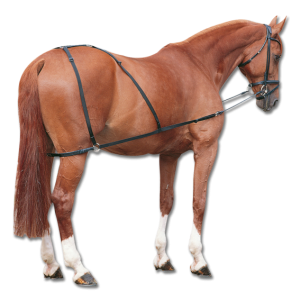 German Combi Trainer