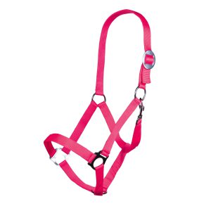 Softice Pony Head Collar and Rope