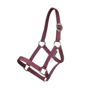 Foal or Mini Shetty Halter