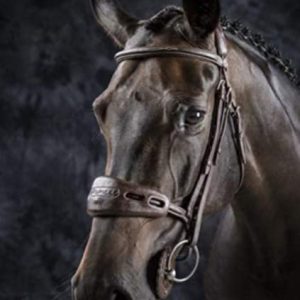 Acavallo Soft Gel Nose and Poll