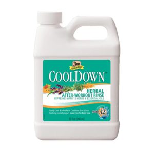Absorbine CoolDown® After Workout Rinse Concentrate 950ml