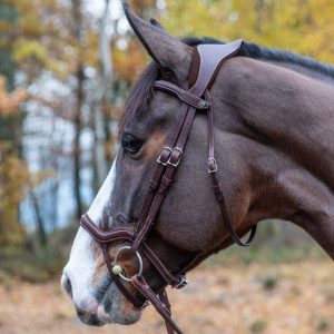 Antares Precision Y Noseband Anatomic Bridle