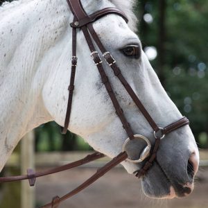 Antares Origin Anatomic Drop Noseband Bridle