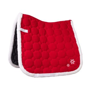 Christmas Saddle Cloth & Santa Earnet