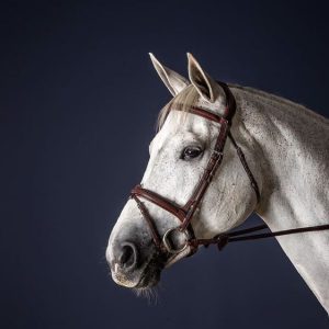 Dy'on Flash Noseband Bridle