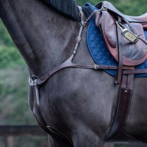 Dy'on Anatomic Breastplate