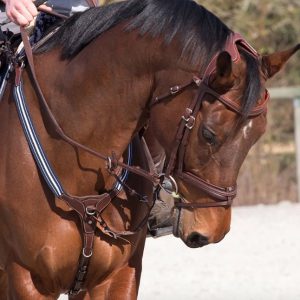 Antares Grained Elastic Breastplate