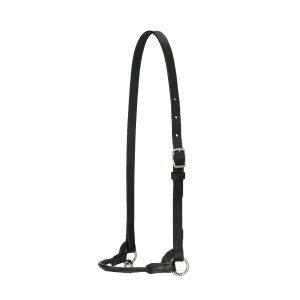 ER Arabian Leather Show Halter + Chain Lead