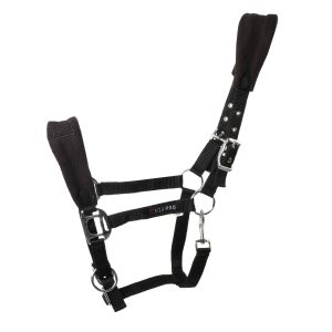 Equipro Vanessa Padded Halter - Cob