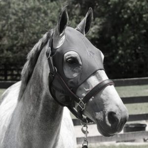 Fenwick Liquid Titanium® Mask