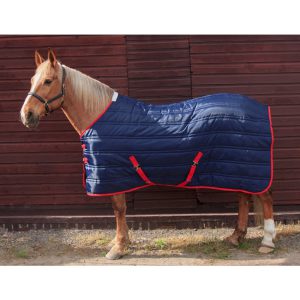ER Stable Rug