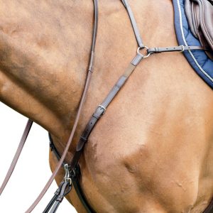 Prestige EVO Martingale